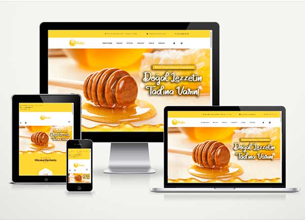 Balcı E-Ticaret Paketi Honey v5.0